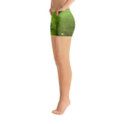 Crab Nebula Shorts